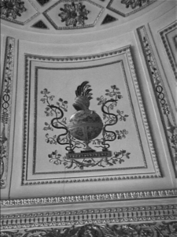 Motivo decorativo - Palazzo Orsetti, Lucca 2